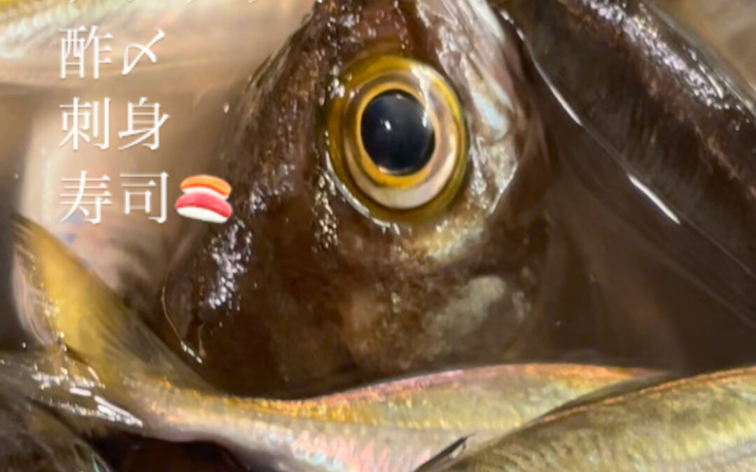 今が食べ頃一度は食べたい❣️