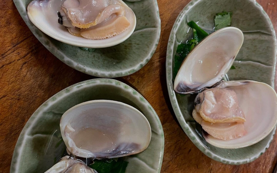 江戸前ハマグリやっと入荷しました